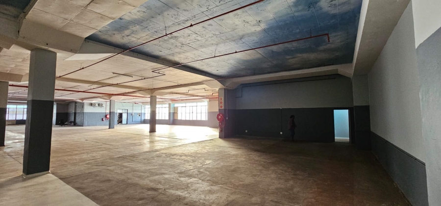 To Let commercial Property for Rent in Elsies River Industrial Western Cape